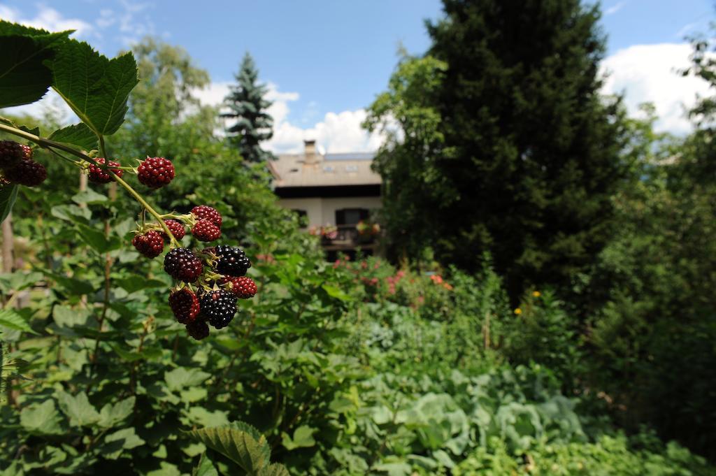 Rebleitenhof Лана Экстерьер фото